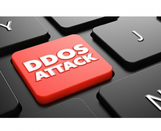 Protejați site-ul dvs cu «Anti-DdoS» hosting de la compania Zhost